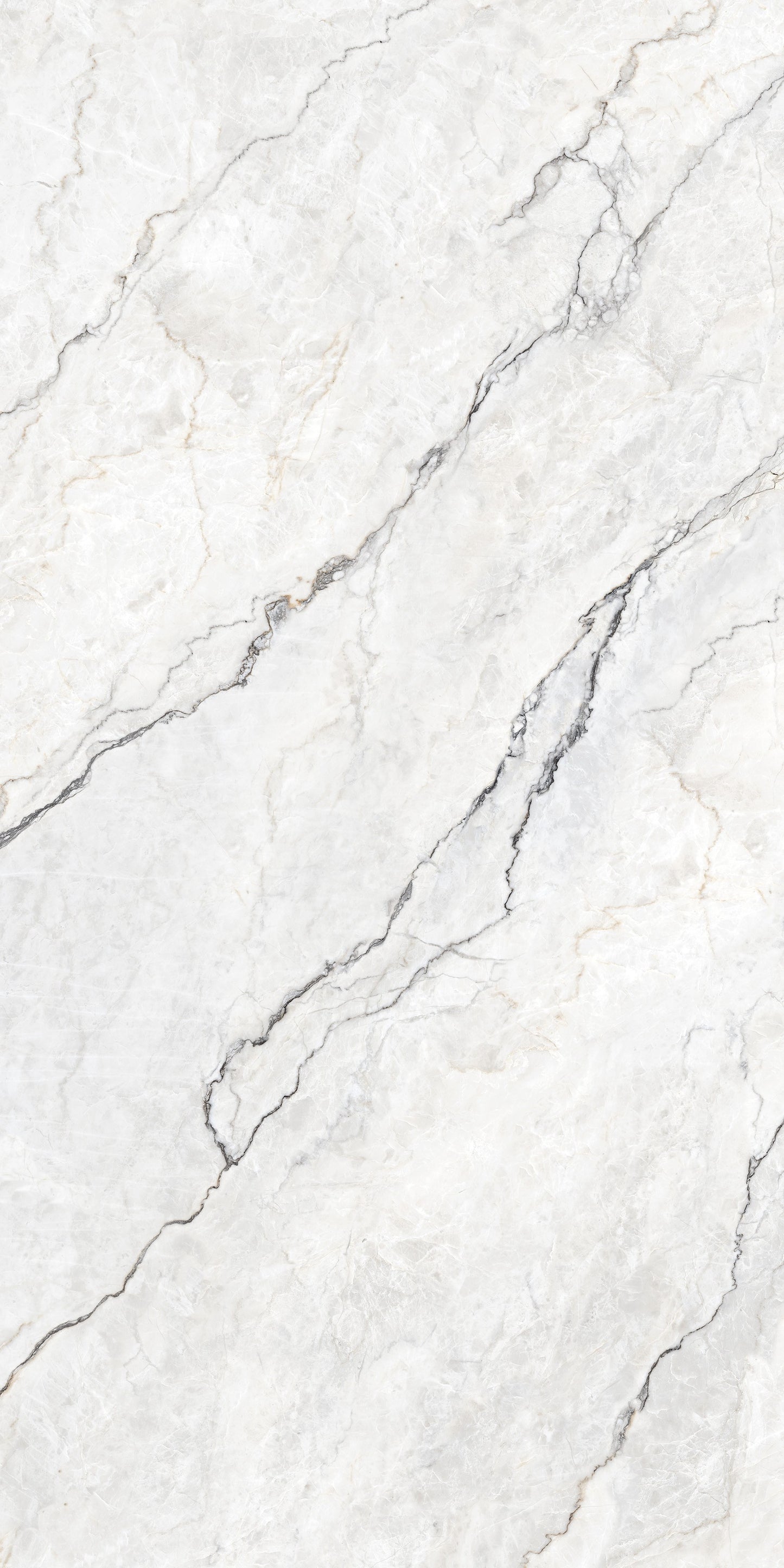 ITACA Freckle Grey Glossy 600x1200MM