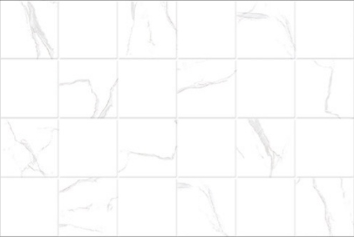 CORIAL 18X12 374