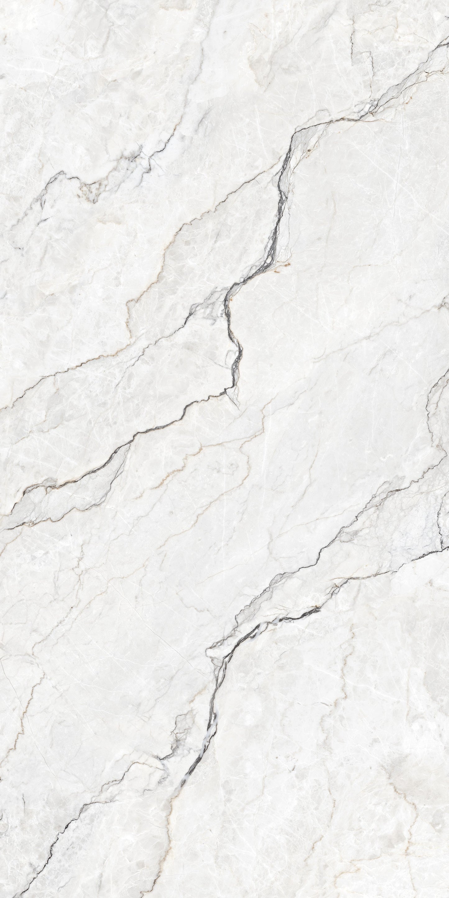ITACA Freckle Grey Glossy 600x1200MM