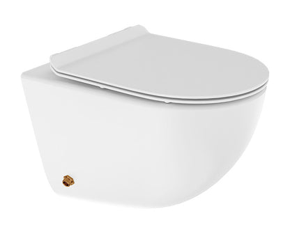 Cera Carnival Jet Wall-Hung EWC