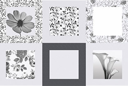 CORIAL 18X12 389