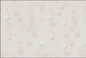 CORIAL 18X12 992