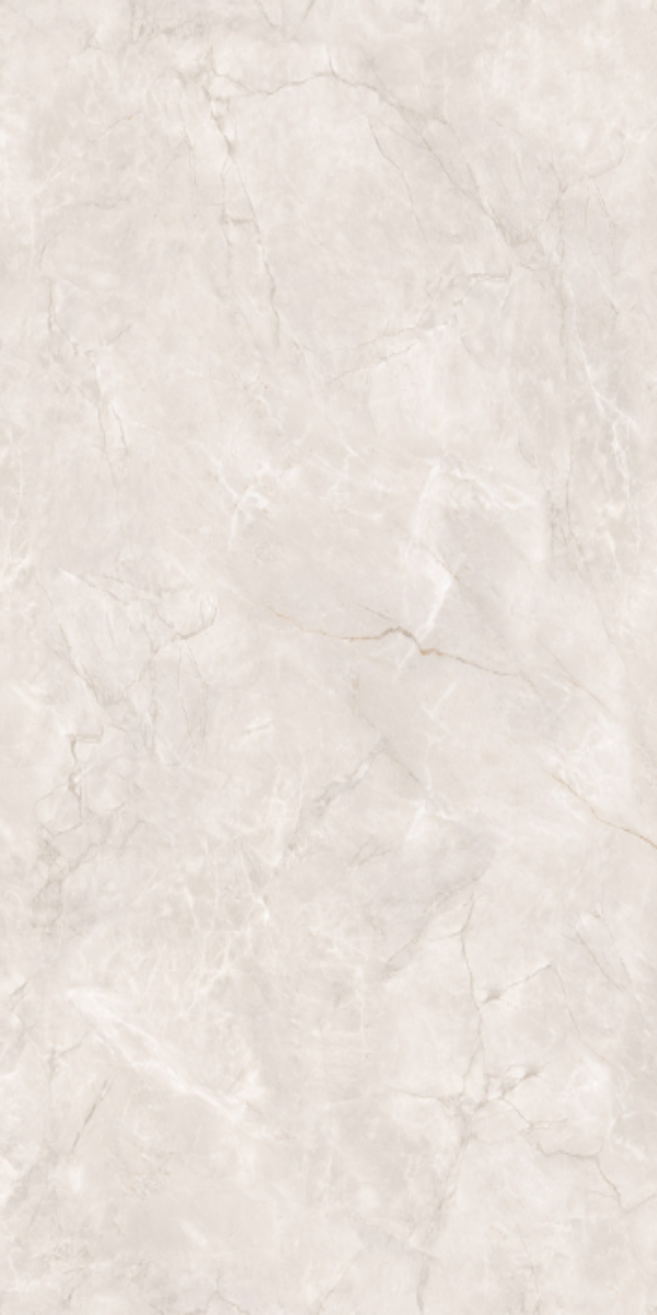 ALPINO GREY ENDLESS 600X1200 ITACA